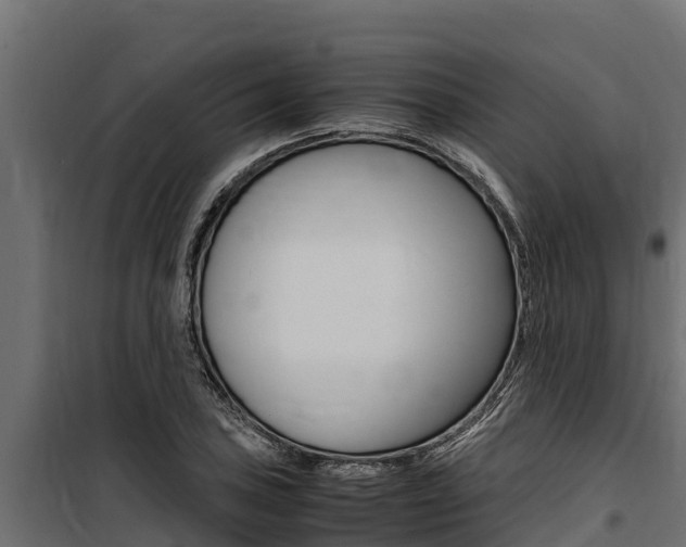 X0000100771027200806190928