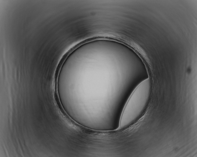 X0000100771028200806190928