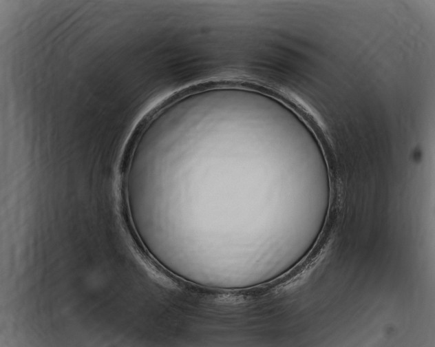 X0000100771029200806190928