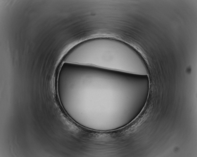 X0000100771030200806190928