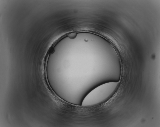 X0000100771031200806190928