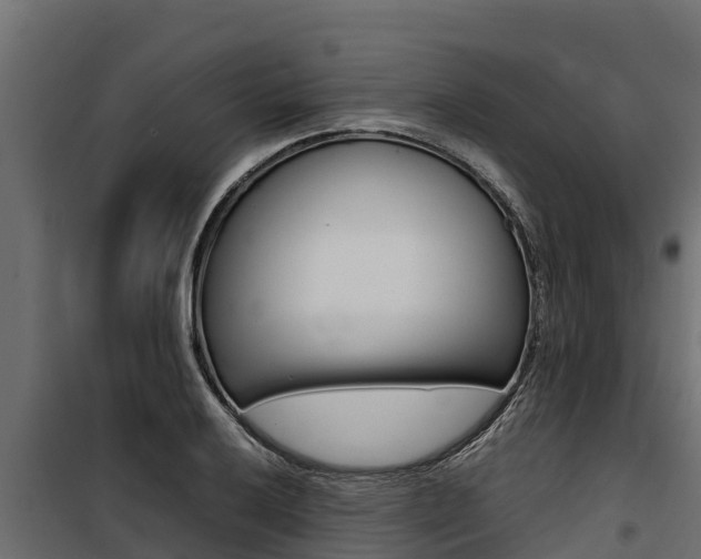 X0000100771032200806190928