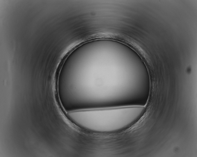 X0000100771034200806190928