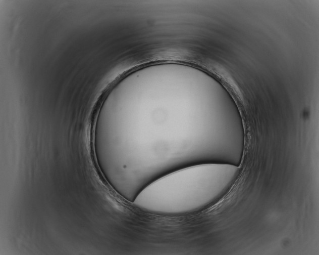 X0000100771035200806190928