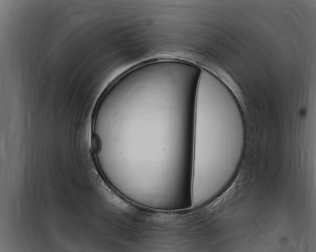 X0000100771036200806190928