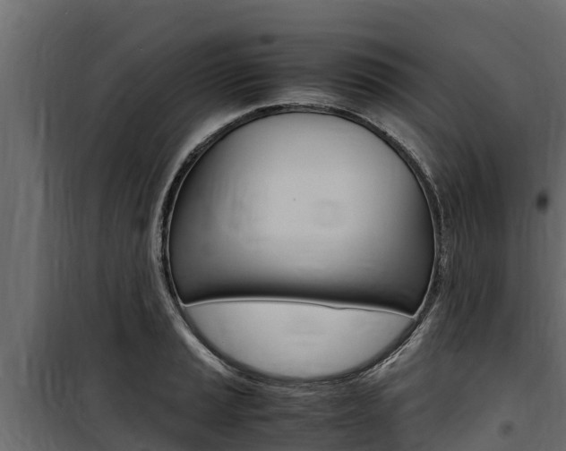 X0000100771037200806190928