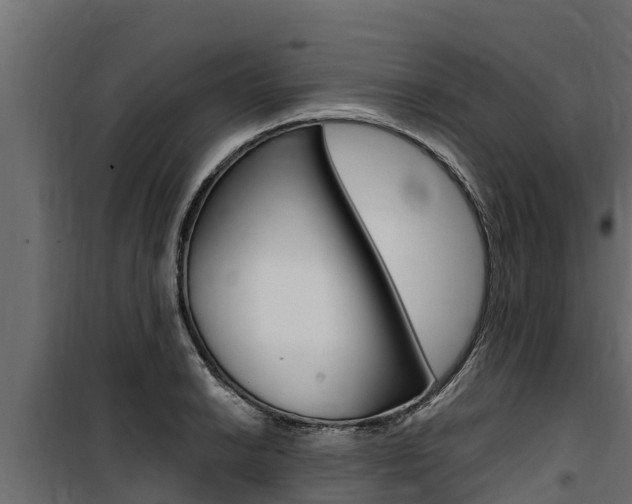 X0000100771038200806190928