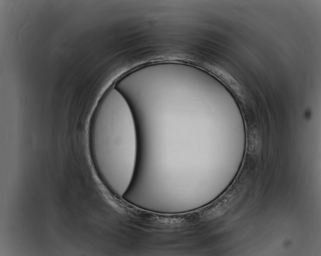 X0000100771039200806190928