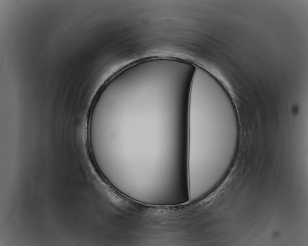 X0000100771040200806190928