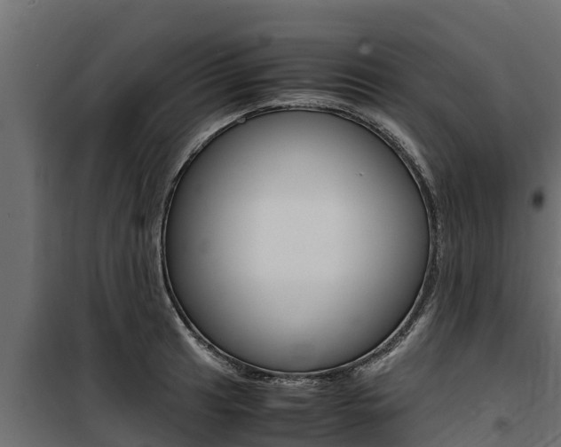 X0000100771041200806190928