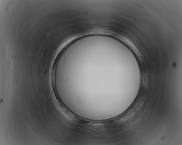 X0000100771043200806190928