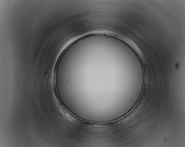 X0000100771044200806190928