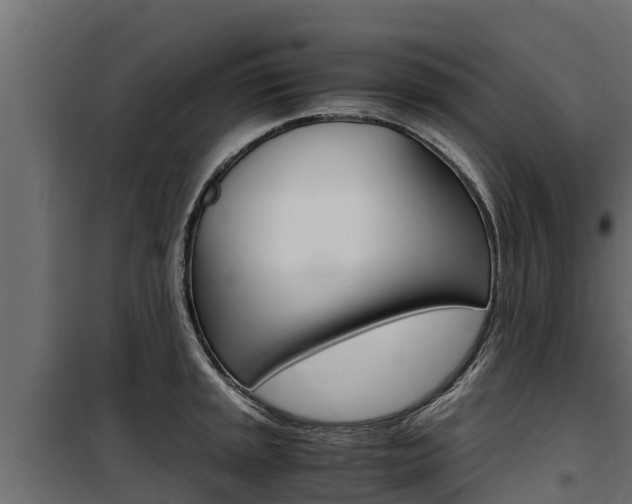 X0000100771045200806190928