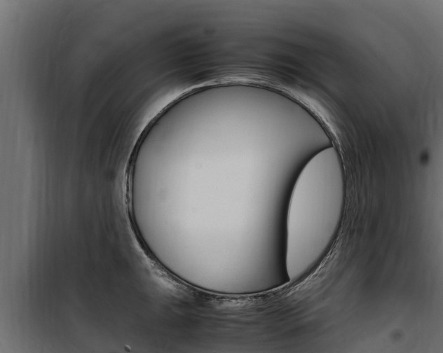 X0000100771047200806190928