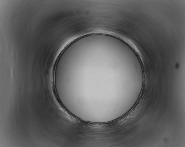 X0000100771048200806190928