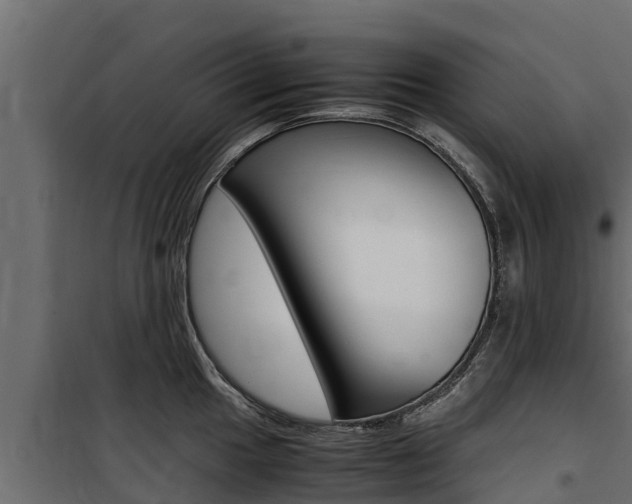 X0000100771049200806190928