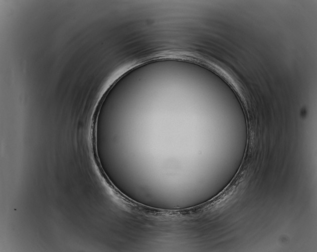 X0000100771050200806190928