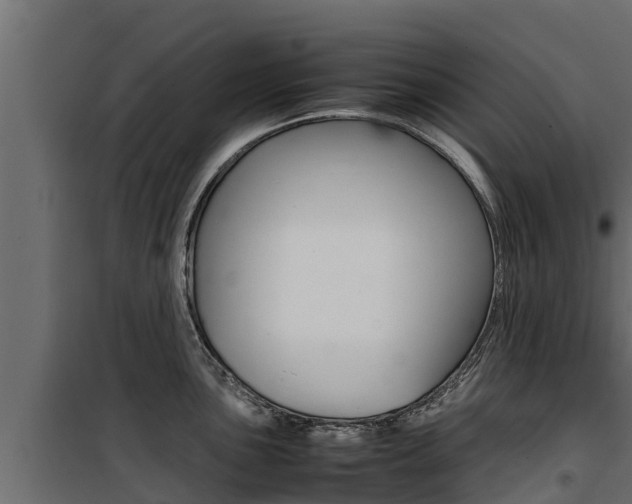 X0000100771051200806190928
