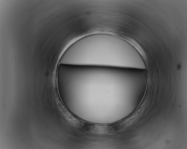 X0000100771052200806190928