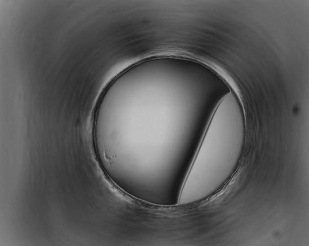X0000100771053200806190928