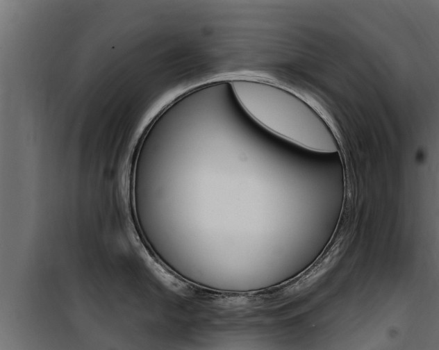 X0000100771054200806190928
