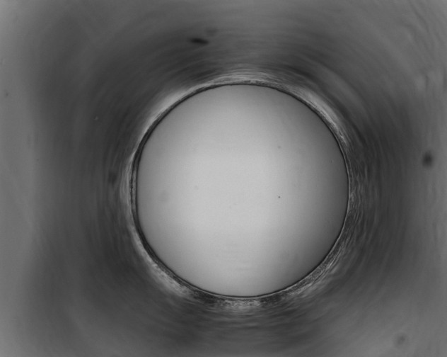 X0000100771055200806190928