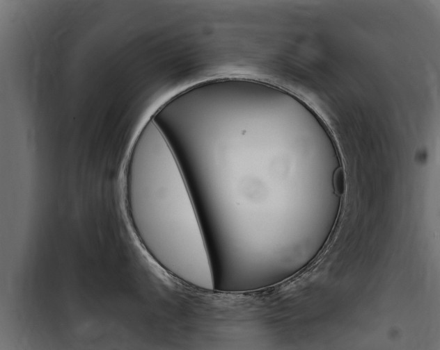 X0000100771056200806190928