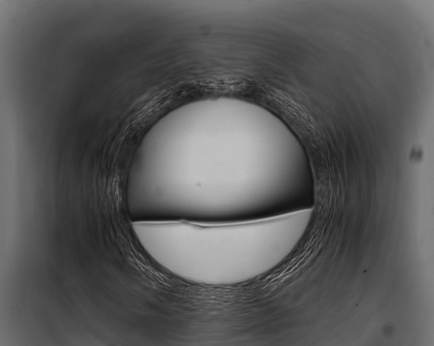 X0000100771058200806190927
