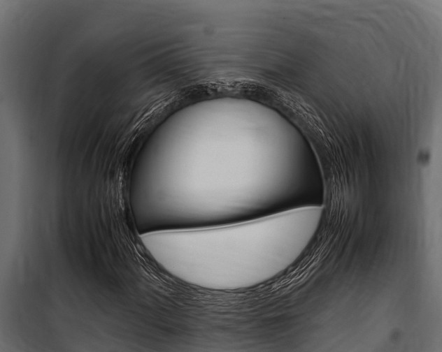 X0000100771060200806190927