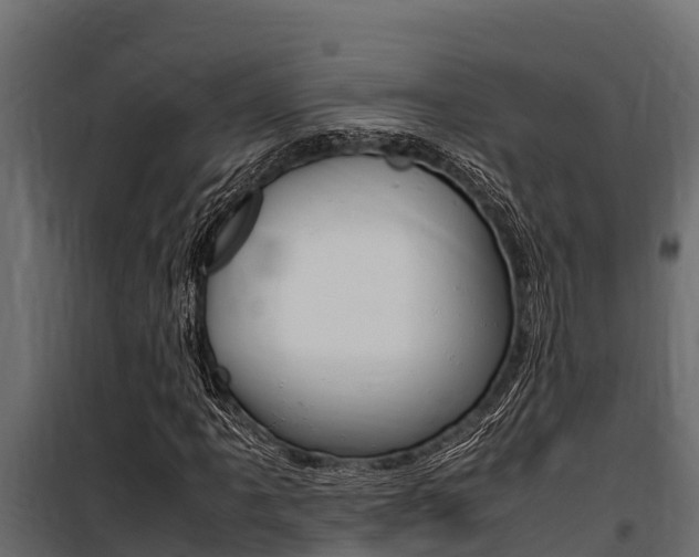 X0000100771061200806190927