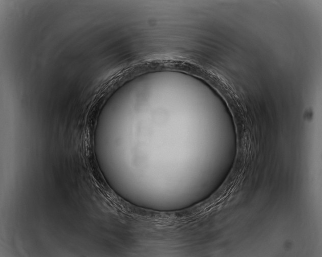 X0000100771062200806190927
