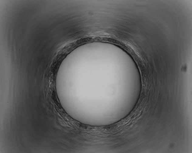 X0000100771063200806190927
