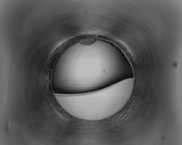 X0000100771064200806190927