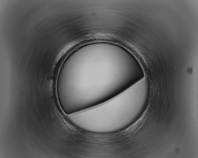 X0000100771066200806190927