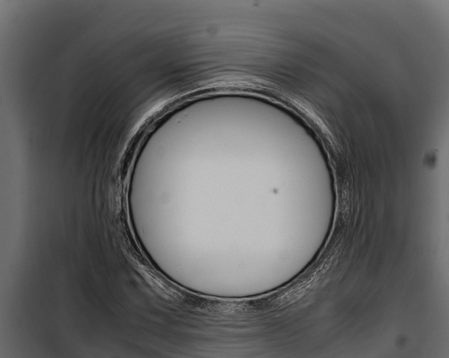 X0000100771067200806190927