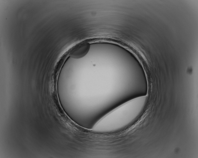 X0000100771069200806190927