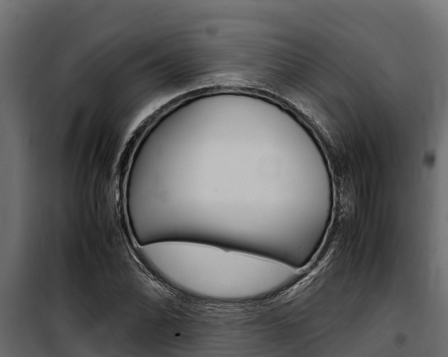 X0000100771070200806190927