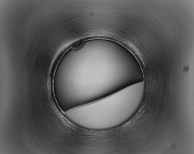X0000100771072200806190927