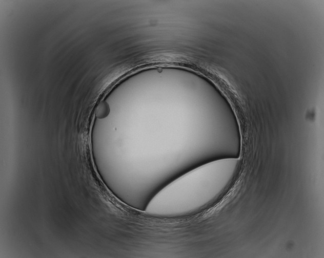 X0000100771073200806190927