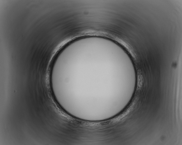 X0000100771074200806190927