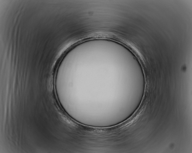 X0000100771075200806190927