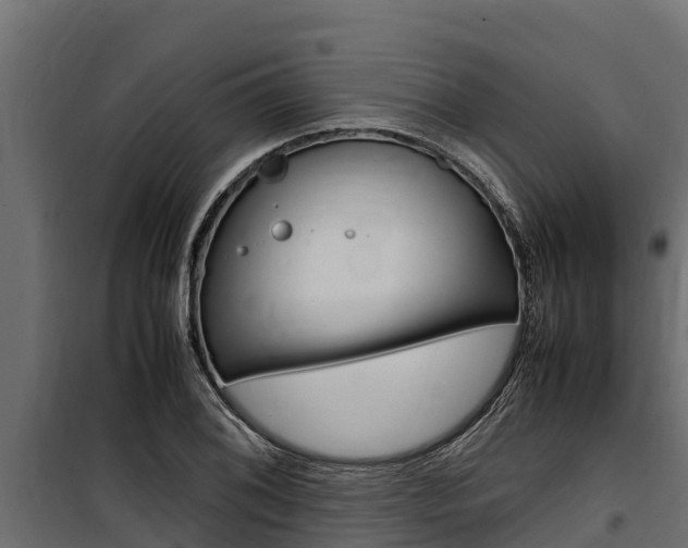 X0000100771076200806190927