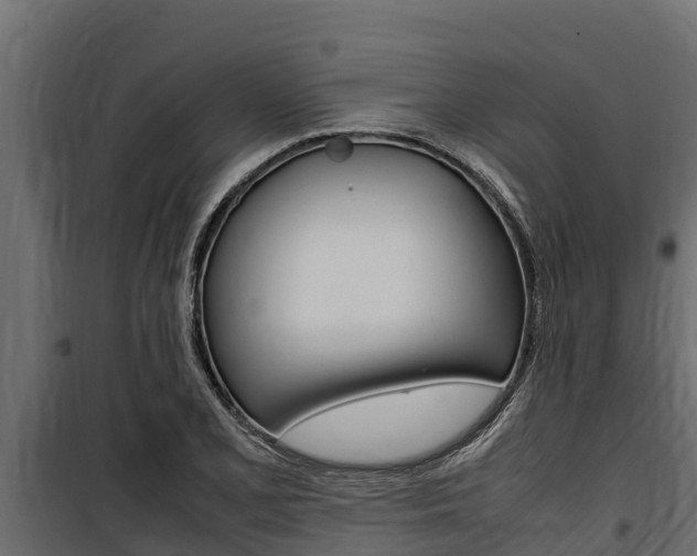 X0000100771077200806190927