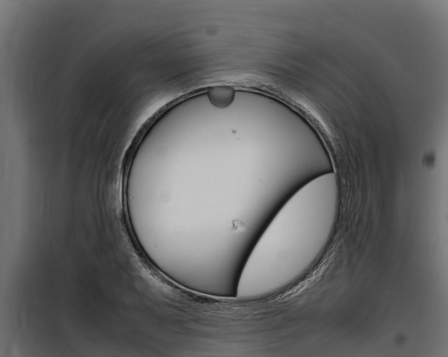 X0000100771079200806190927