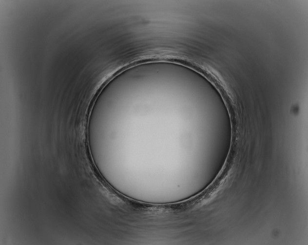 X0000100771081200806190927