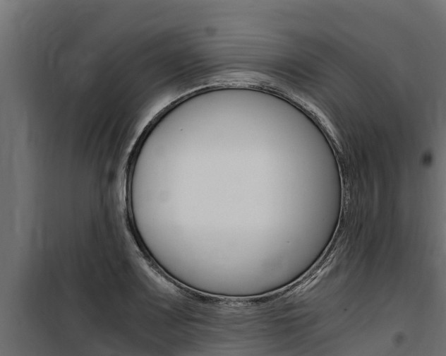 X0000100771083200806190927