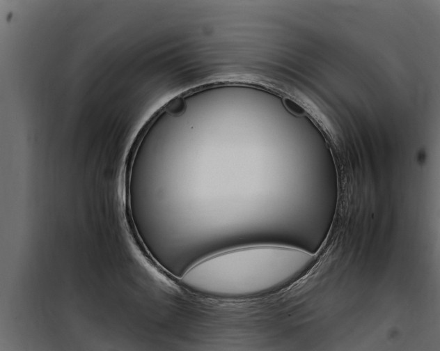 X0000100771084200806190927
