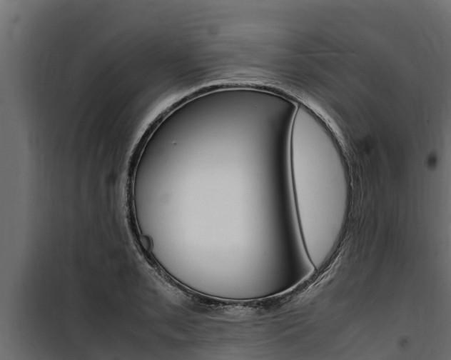 X0000100771085200806190927
