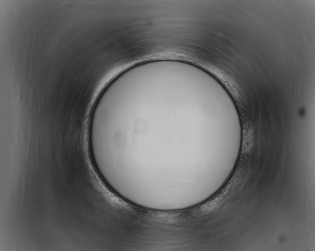 X0000100771086200806190927