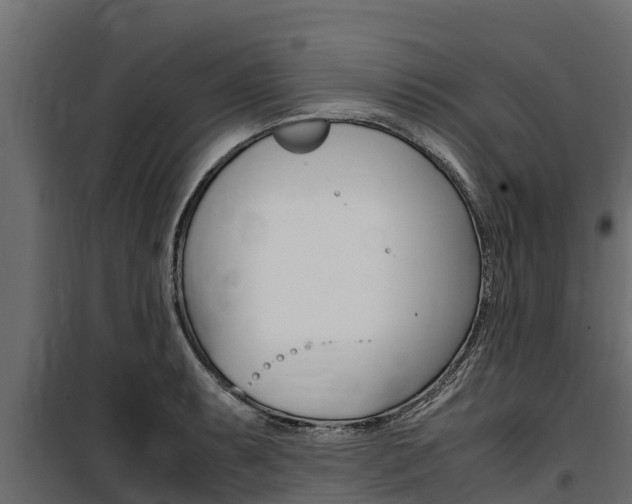 X0000100771087200806190927